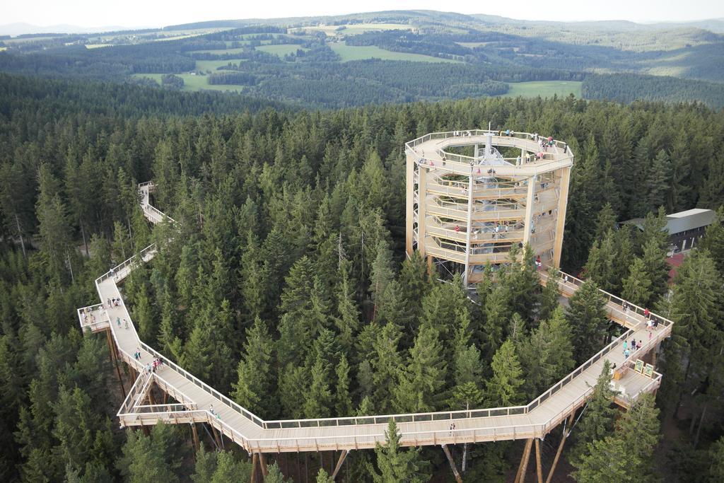 Апартаменты Mysi V Bote Lipno Липно-над-Влтавой Экстерьер фото
