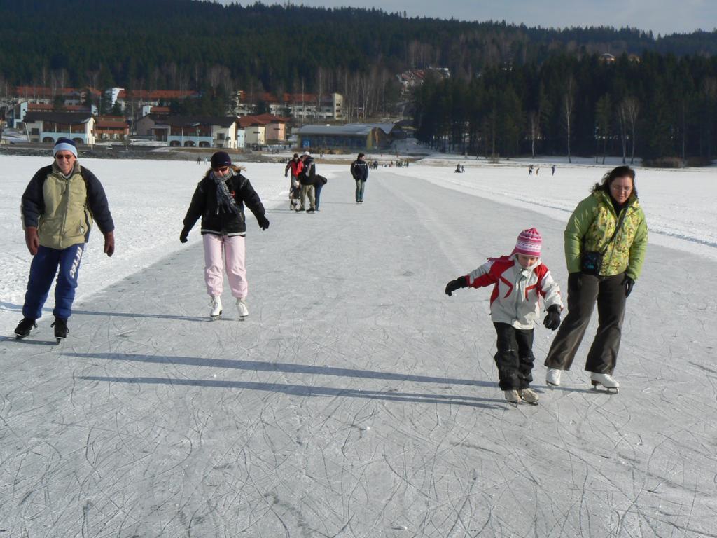 Апартаменты Mysi V Bote Lipno Липно-над-Влтавой Экстерьер фото