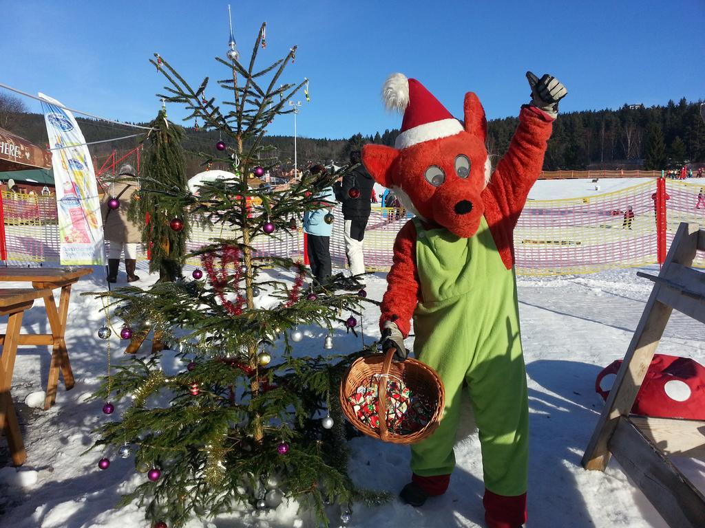 Апартаменты Mysi V Bote Lipno Липно-над-Влтавой Экстерьер фото